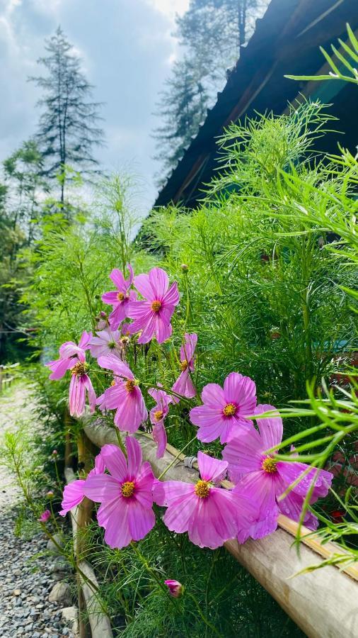 Himtrek Riverside Camps, Kasol Exterior photo